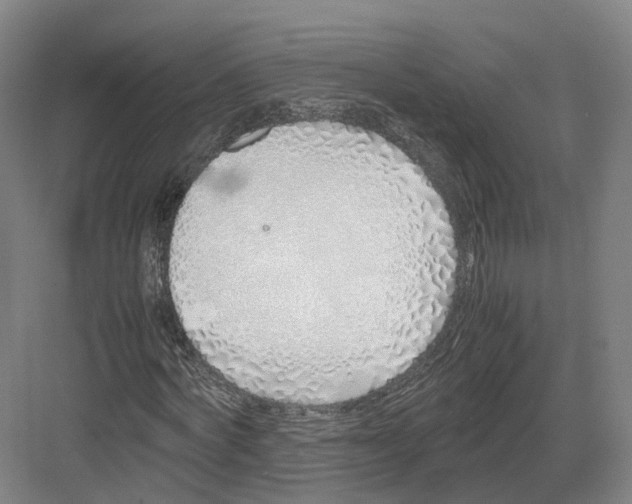 X0000082150772200702162208