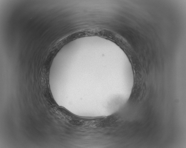 X0000082150773200702162208