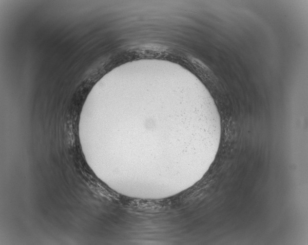 X0000082150774200702162207