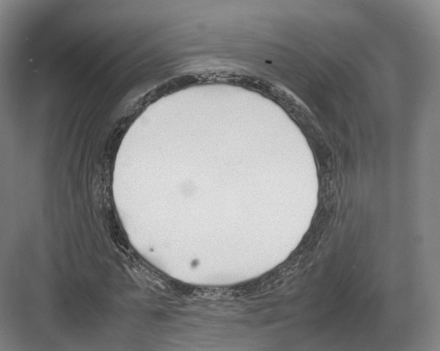 X0000082150775200702162207