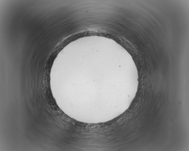 X0000082150776200702162207