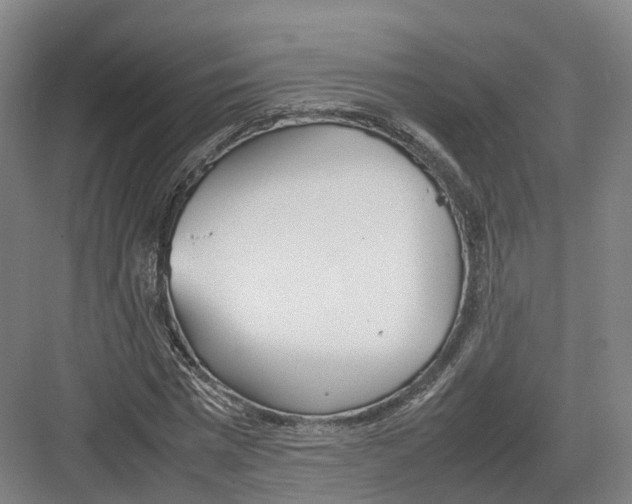 X0000082150777200702162207