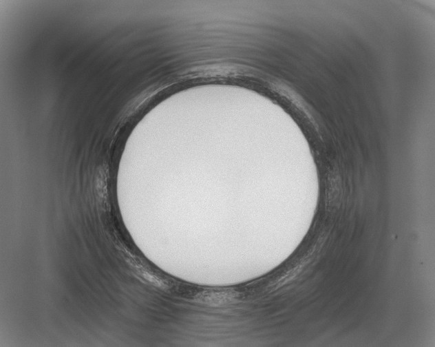 X0000082150778200702162207