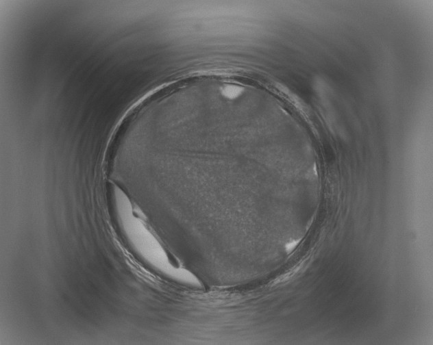 X0000082150779200702162207