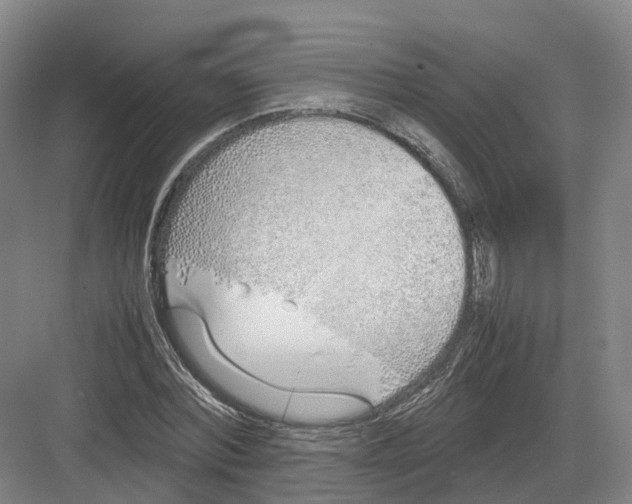 X0000082150780200702162207