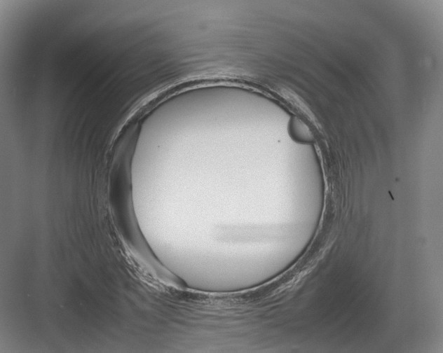 X0000082150781200702162207