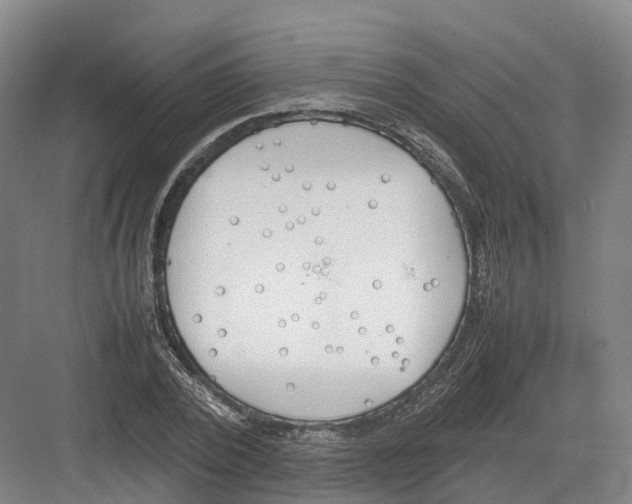 X0000082150784200702162207