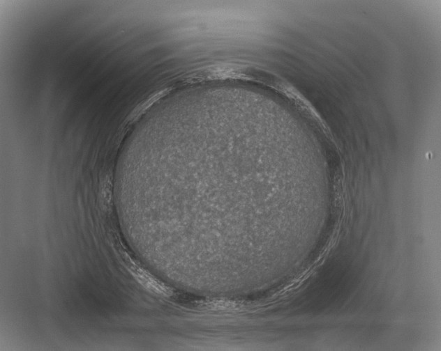 X0000082150785200702162207