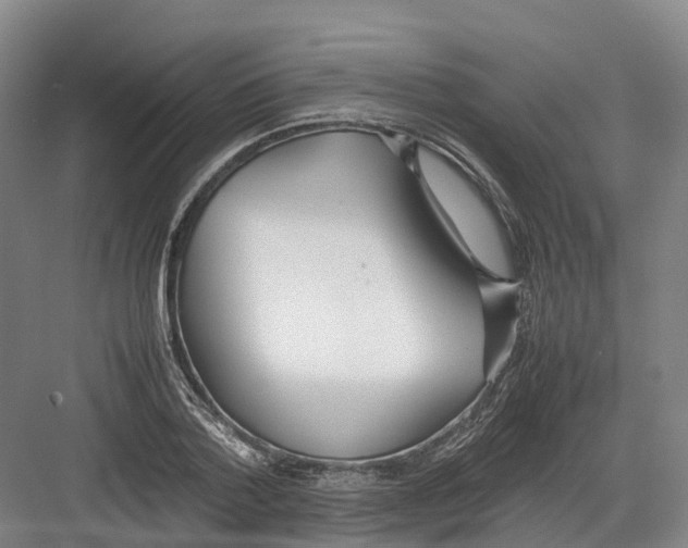 X0000082150788200702162207