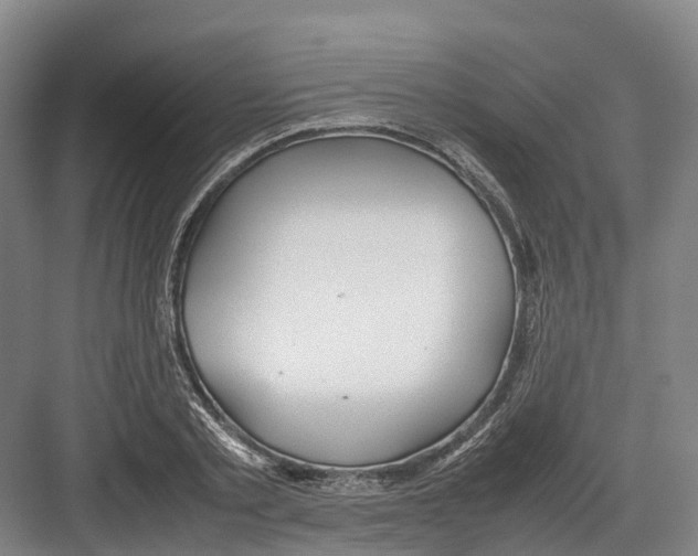 X0000082150789200702162207