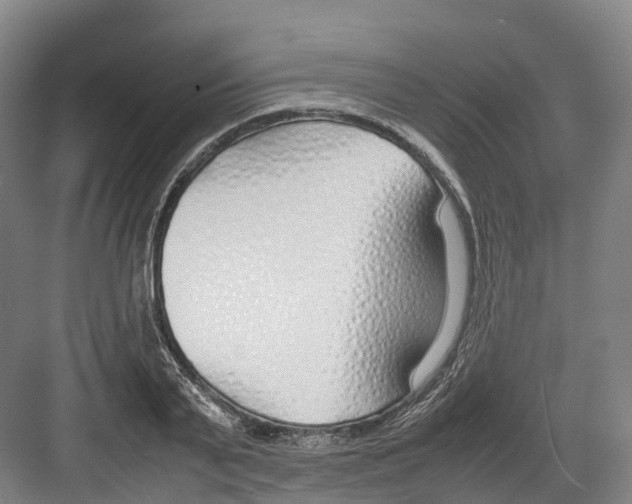 X0000082150791200702162207