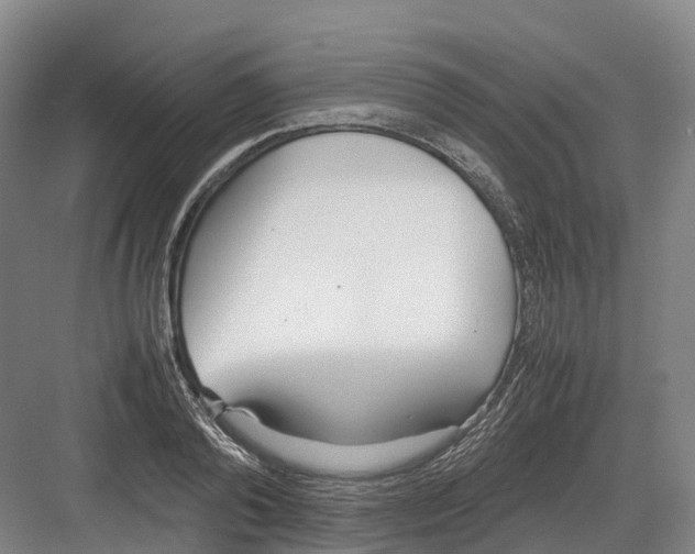 X0000082150792200702162207