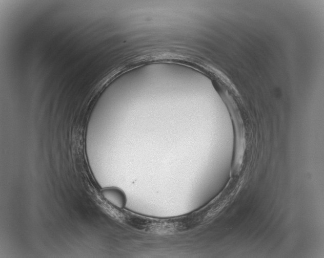 X0000082150793200702162207