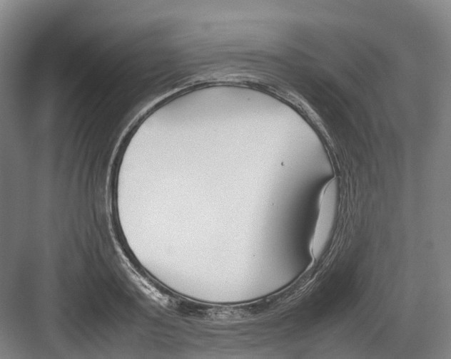 X0000082150795200702162207