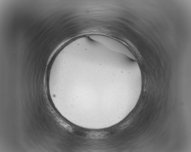 X0000082150796200702162207