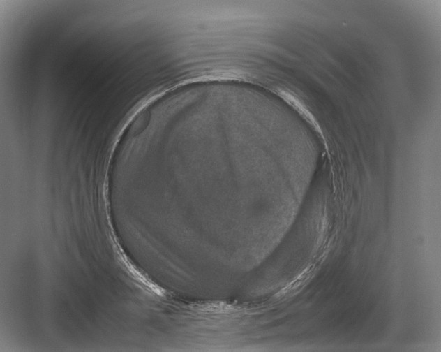 X0000082150797200702162207