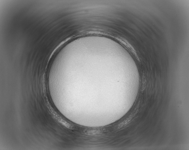 X0000082150798200702162207