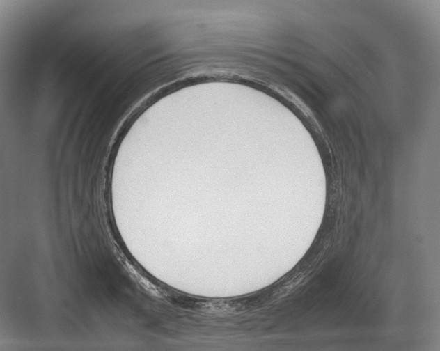 X0000082150799200702162207