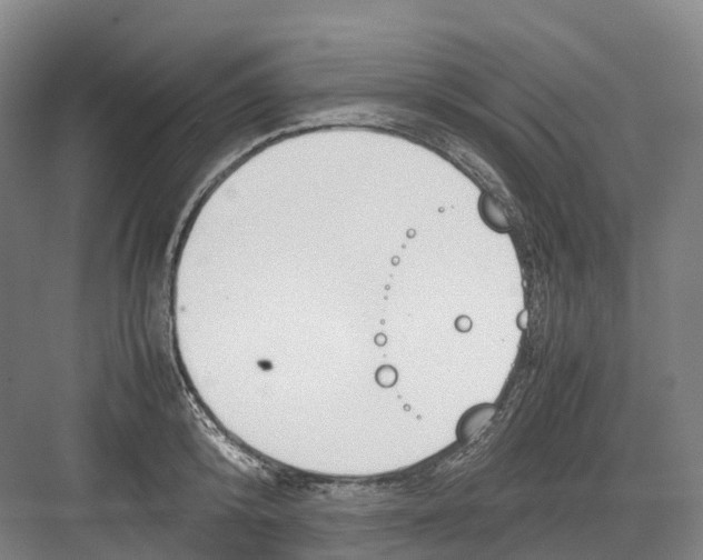 X0000082150800200702162207