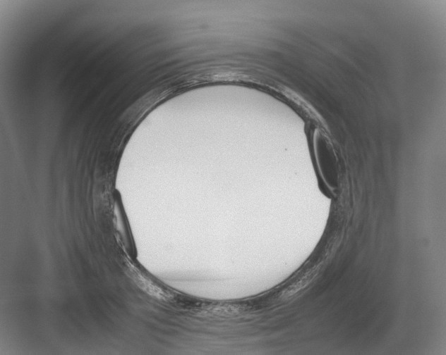 X0000082150801200702162207