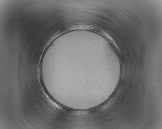 X0000082150802200702162207