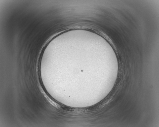 X0000082150803200702162207