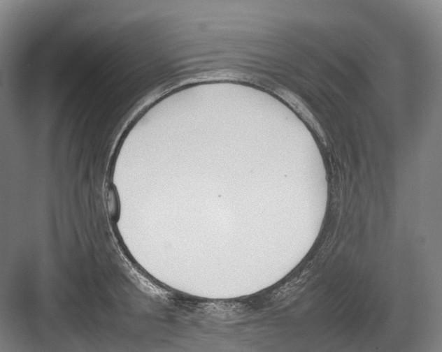 X0000082150805200702162207