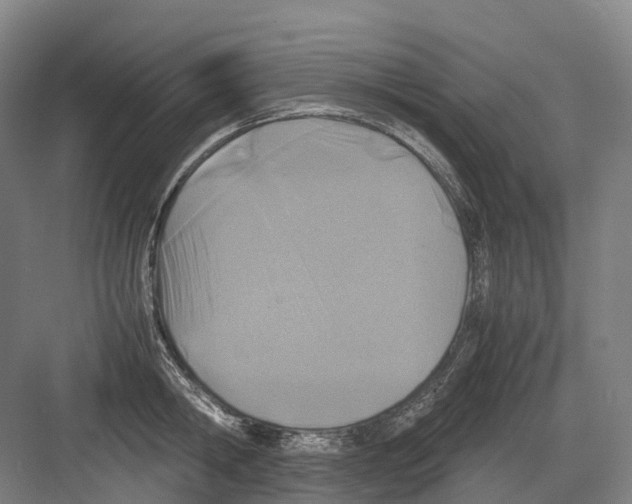 X0000082150806200702162207