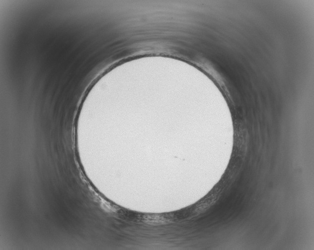 X0000082150807200702162207