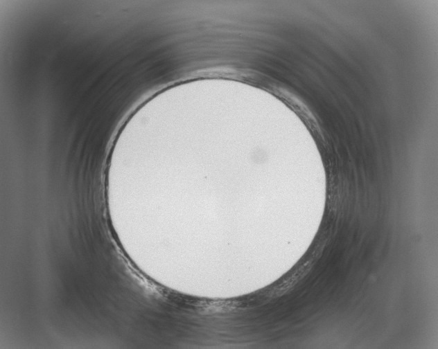 X0000082150808200702162207