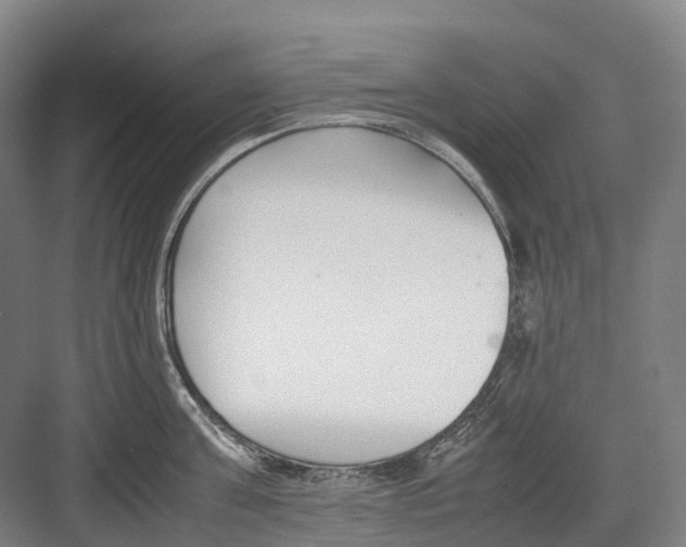 X0000082150811200702162207