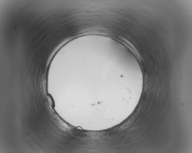 X0000082150812200702162207