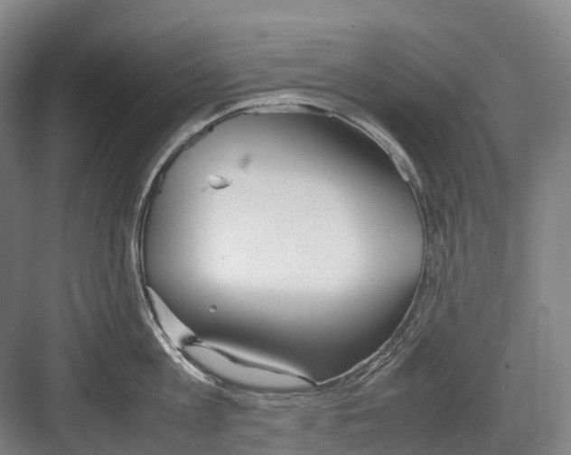 X0000082150813200702162207