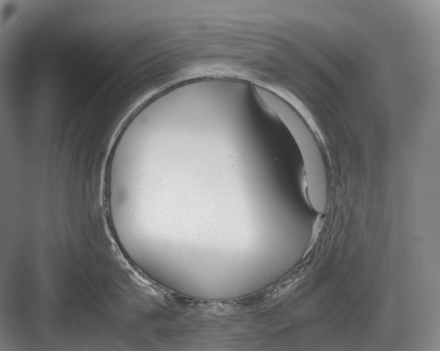 X0000082150815200702162207