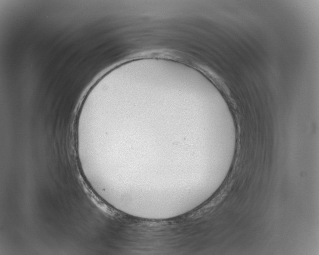 X0000082150816200702162207