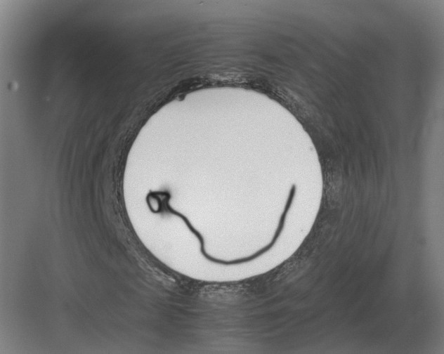 X0000082150817200702162206