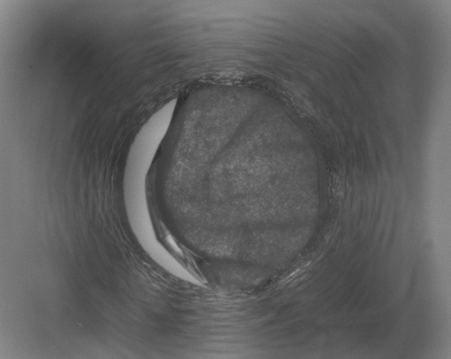 X0000082150818200702162206