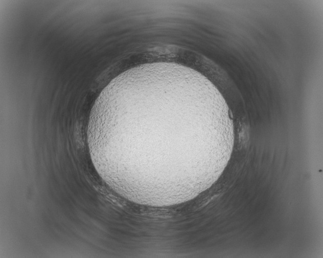 X0000082150819200702162206