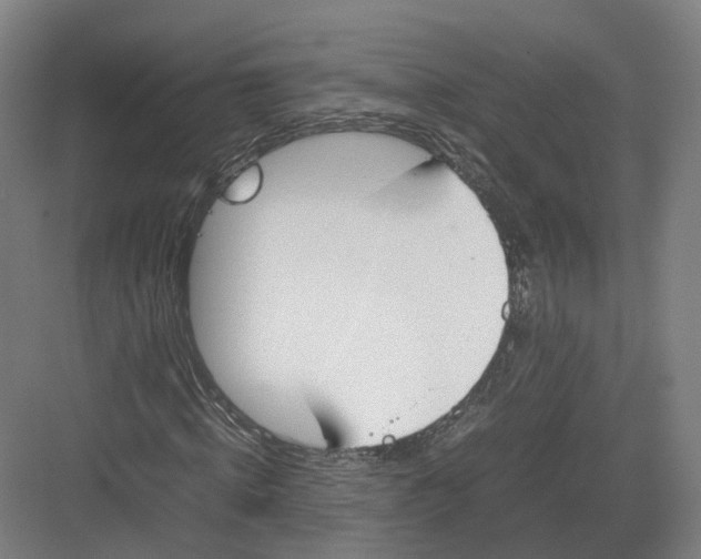 X0000082150820200702162206