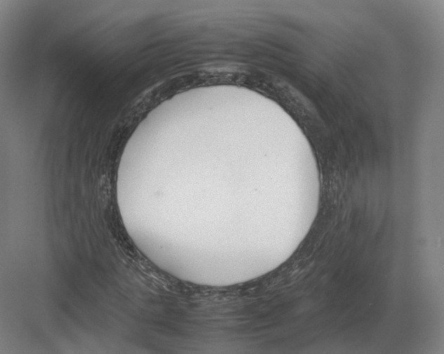 X0000082150821200702162206