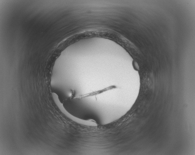 X0000082150822200702162206