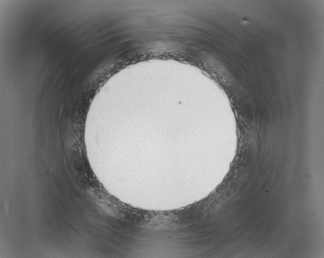 X0000082150824200702162206