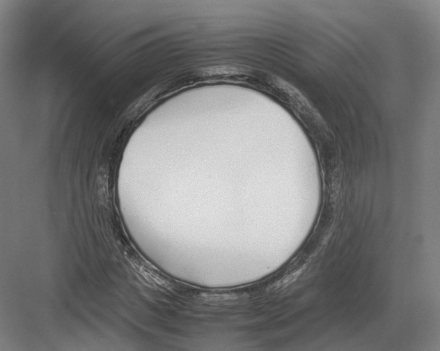 X0000082150825200702162206