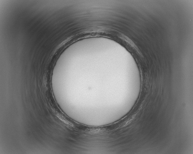 X0000082150826200702162206