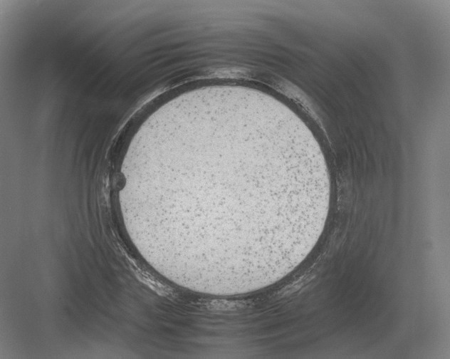 X0000082150827200702162206