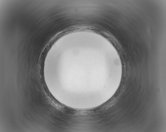 X0000082150828200702162206