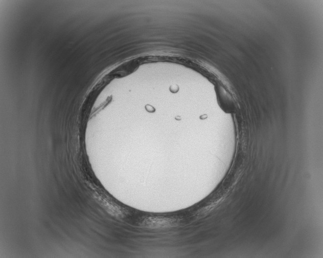 X0000082150829200702162206