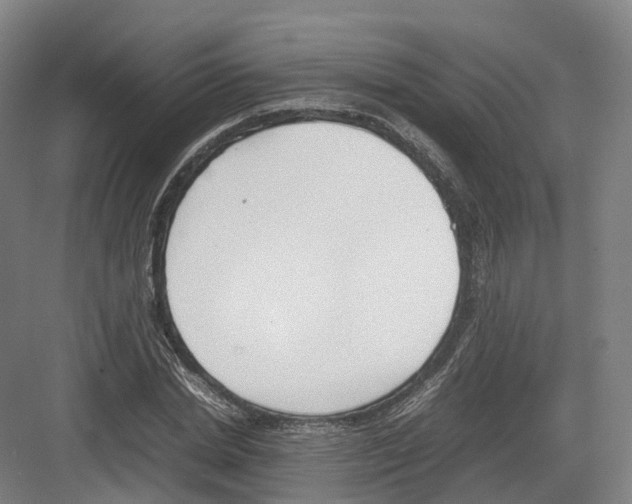 X0000082150830200702162206