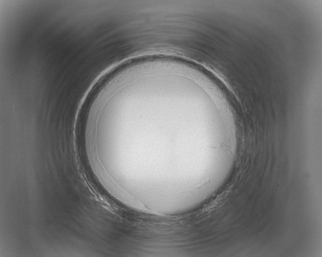 X0000082150832200702162206