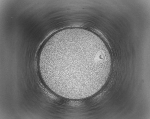 X0000082150835200702162206